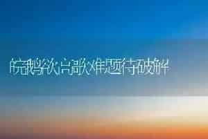 皖鹅欲高歌难题待破解