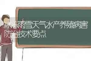 冰冻雨雪天气水产养殖病害防治技术要点