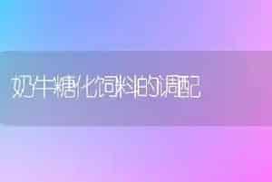 奶牛糖化饲料的调配