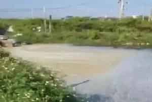 微生物制剂产品“没效果”?养殖户认知不足是主因