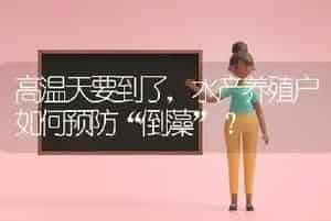 高温天要到了,水产养殖户如何预防“倒藻”?