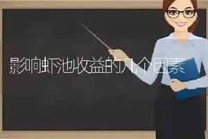 影响虾池收益的几个因素
