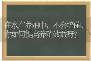 在水产养殖中,不会培菌,你如何提高养殖效益呀?