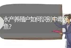 水产养殖户如何识别中毒死鱼?