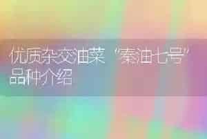春季谨防雏鹅患流行性感冒