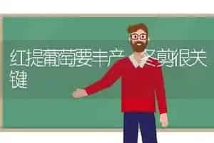 加工过程中如何确保饲料安全
