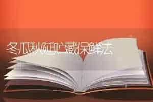 高低产蛋鸭的简易鉴别