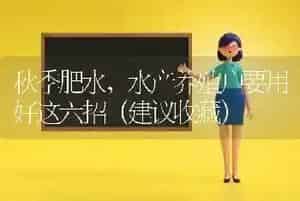 秋季肥水,水产养殖户要用好这六招(建议收藏)
