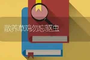 散养草鸡勿忘驱虫