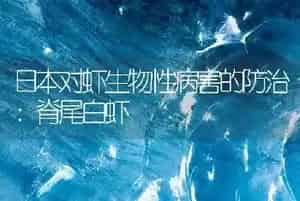 日本对虾生物性病害的防治：脊尾白虾