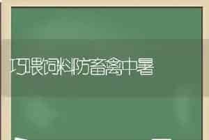 巧喂饲料防畜禽中暑