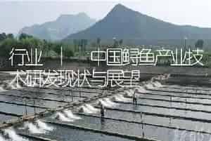行业 | 中国鲟鱼产业技术研发现状与展望
