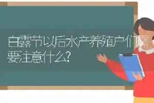 白露节以后水产养殖户们需要注意什么?