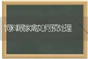 饲料喂家禽如何预处理