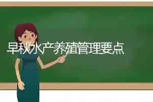 早秋水产养殖管理要点