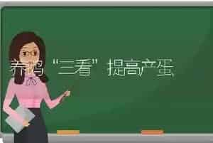 养鹅“三看”提高产蛋
