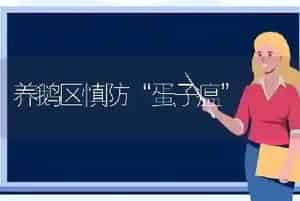 养鹅区慎防“蛋子瘟”