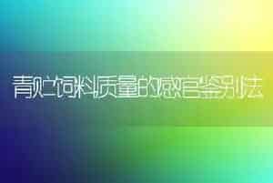 青贮饲料质量的感官鉴别法