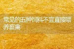 常见的五种饲料不宜直接喂养畜禽