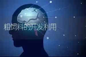 粗饲料的开发利用