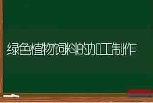 绿色植物饲料的加工制作