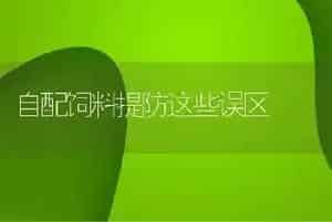 自配饲料提防这些误区