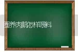 圈养肉鹅怎样喂料