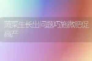 貂狐饲料精加工