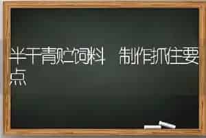 半干青贮饲料 制作抓住要点