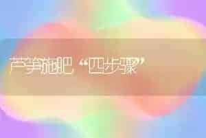 鸭霍乱的防治技术