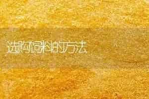 选购饲料的方法