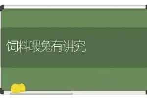 饲料喂兔有讲究