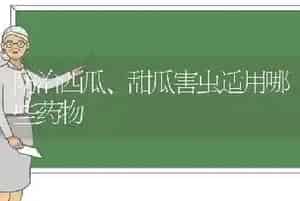 介绍几种低成本蛋白饲料