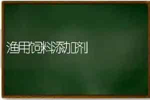 渔用饲料添加剂