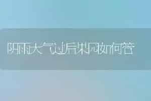 冬春畜禽发芽饲料的制作技术