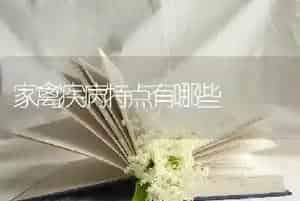 家禽疾病特点有哪些