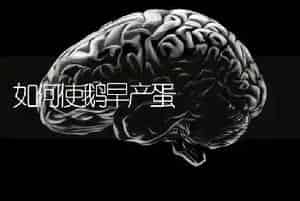 如何使鹅早产蛋