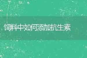 饲料中如何添加抗生素