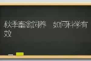 秋季畜禽饲养 如何科学有效