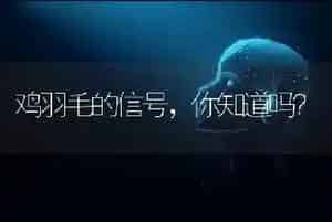 鸡羽毛的信号,你知道吗?