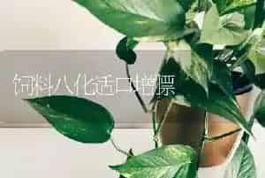 饲料八化适口增膘