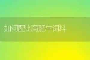 如何配比育肥牛饲料