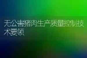 无公害猪肉生产质量控制技术要领
