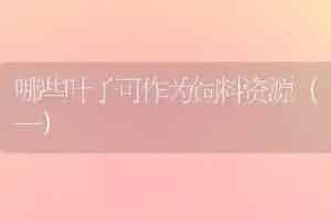 哪些叶子可作为饲料资源(一)