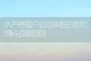 水产养殖户必须掌握的颗粒饲料投喂原则