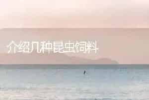 介绍几种昆虫饲料