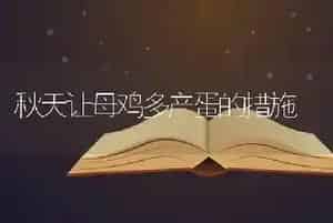 秋天让母鸡多产蛋的措施