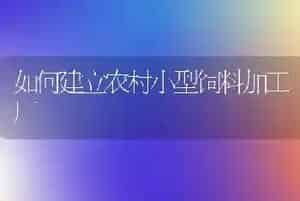 如何建立农村小型饲料加工厂