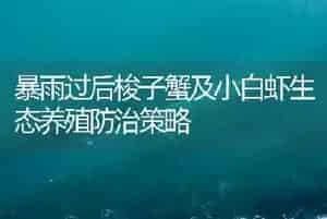 暴雨过后梭子蟹及小白虾生态养殖防治策略