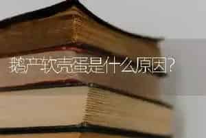 鹅产软壳蛋是什么原因?